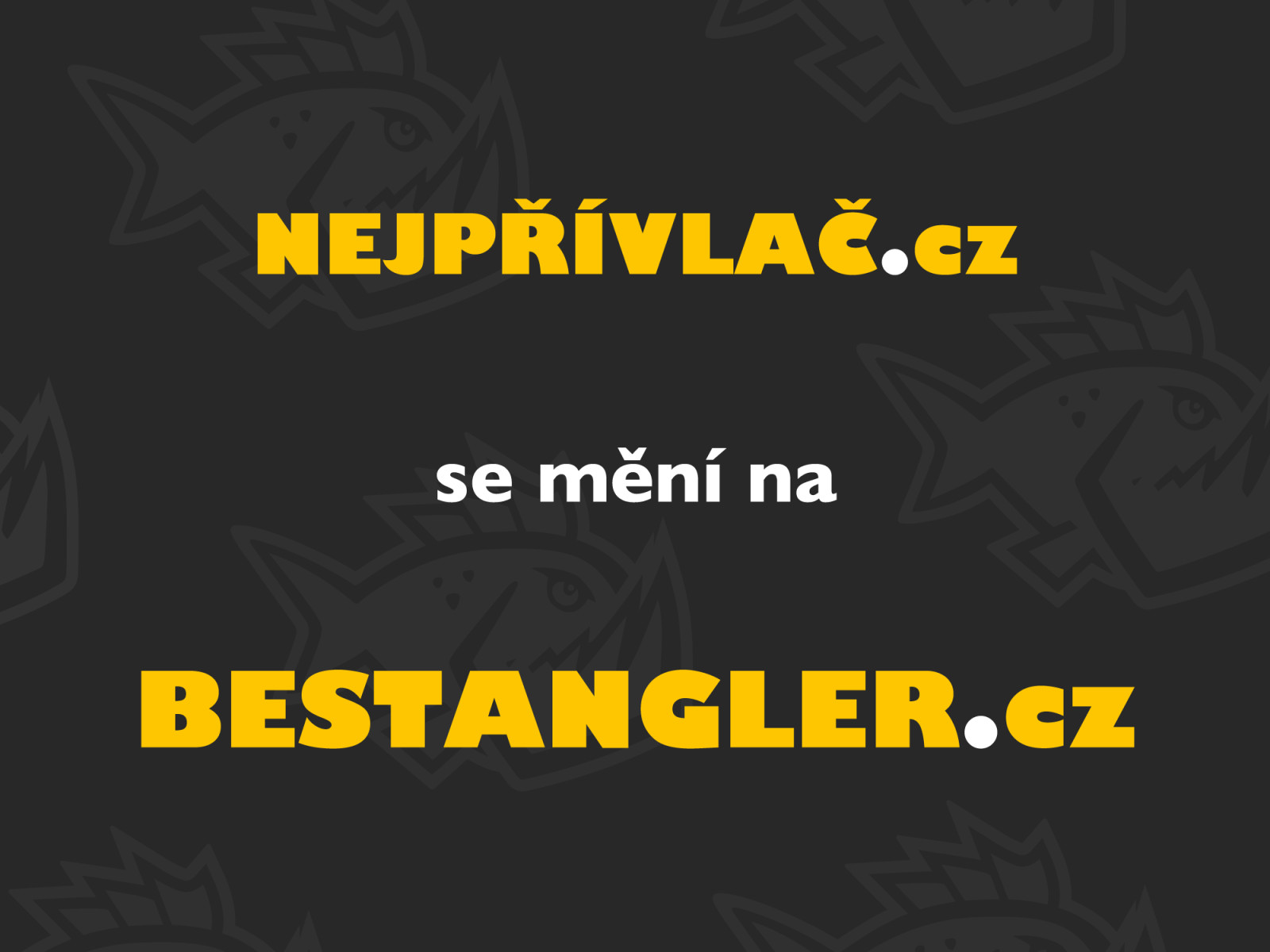 NEJPŘÍVLAČ.cz je nyní BESTANGLER.cz!