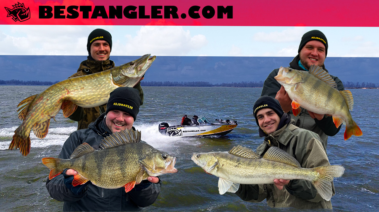 VIDEO: Extrémní rybolov v Holandsku