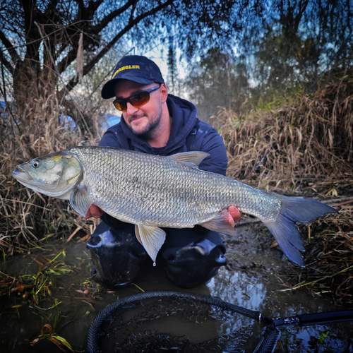 BESTANGLER angler catch photo