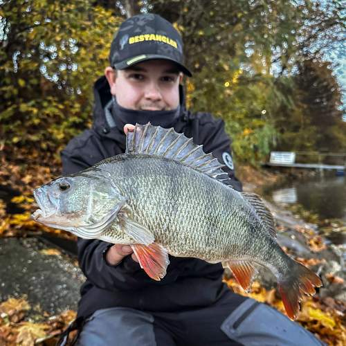 BESTANGLER angler catch photo