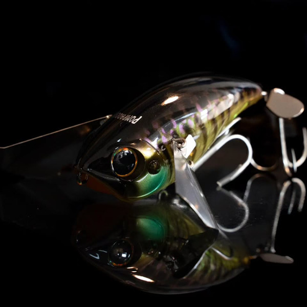 Instagram @thebestangler