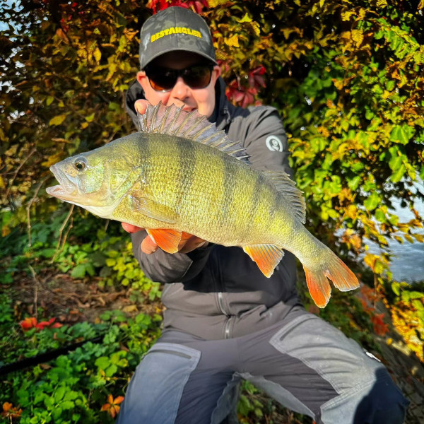 Instagram @thebestangler