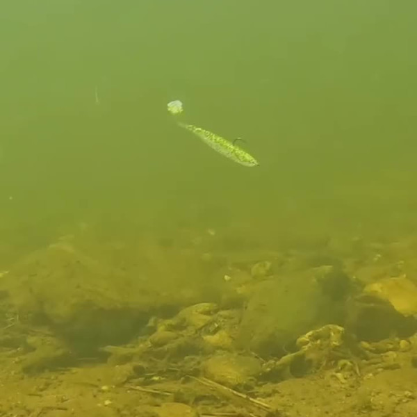 Instagram @thebestangler