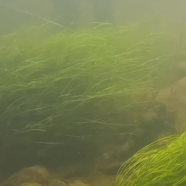 Instagram @thebestangler