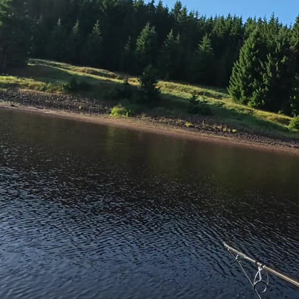 Instagram @thebestangler