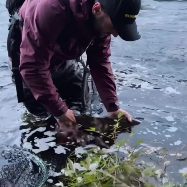 Instagram @thebestangler