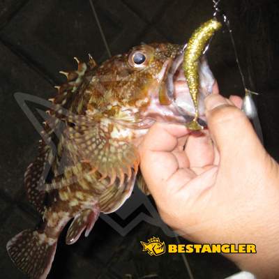 DECOY Worm 117 HD Hook Offset #4 - 818244