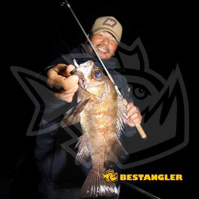 DECOY SV-52 Round Magic #8