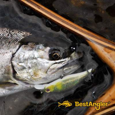 DECOY Single 28 Troutin’ #4 - 808979