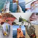 Little Jack Ebinem 60g #07 Blue Suji Prawn UV