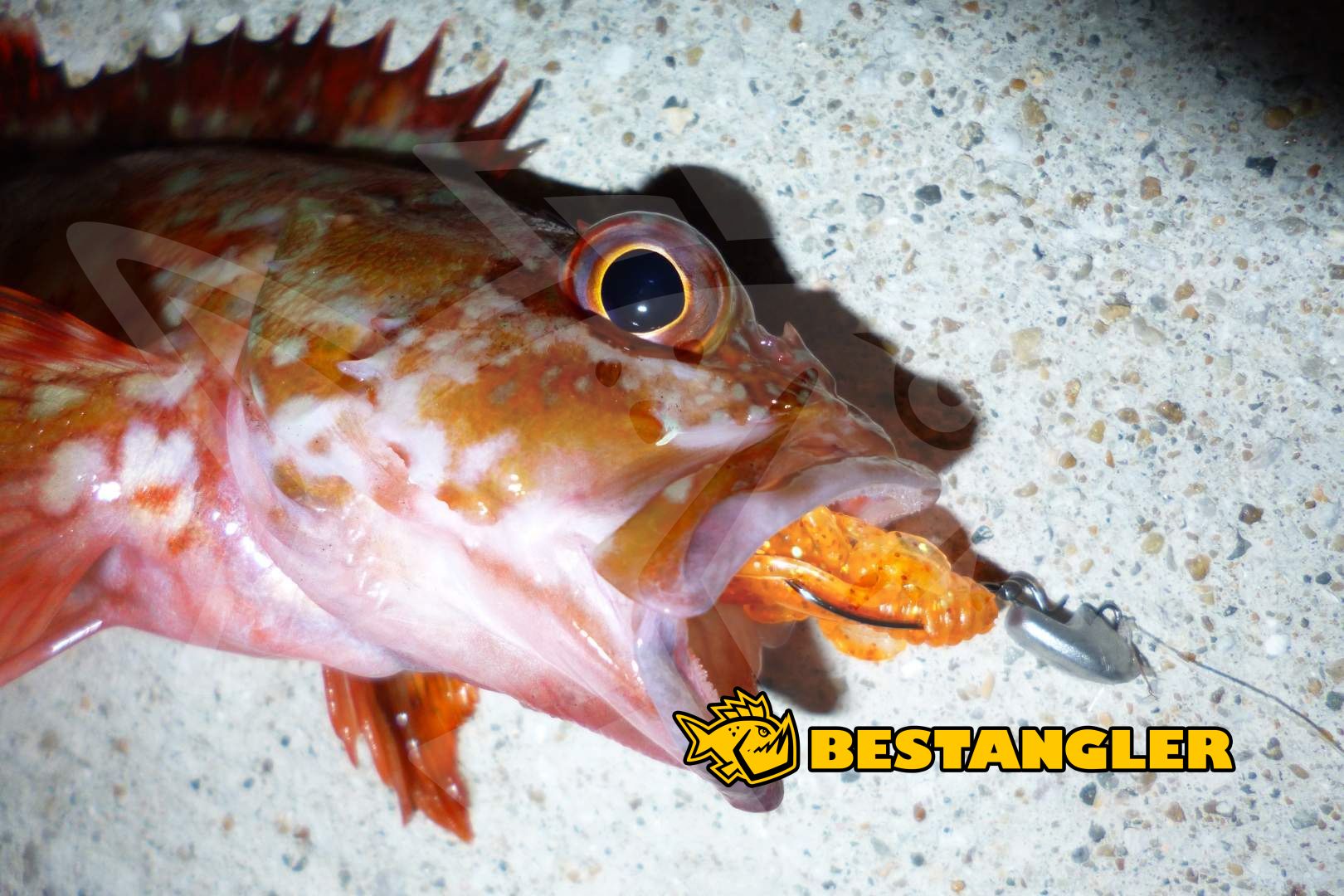 DECOY Slide Bomb 2 g BESTANGLER.cz