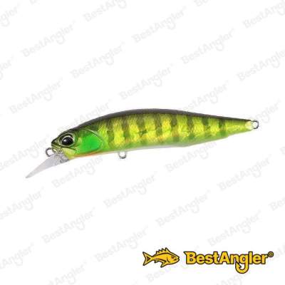 DUO Realis Rozante 63SP Chart Gill Halo AJA3055