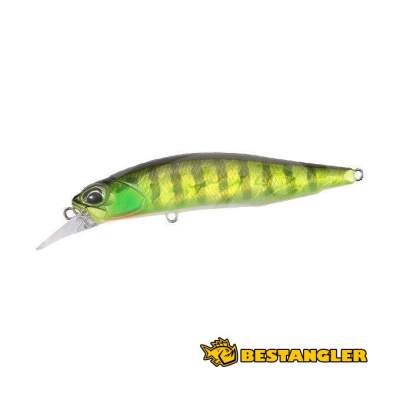 DUO Realis Rozante 63SP Chart Gill Halo