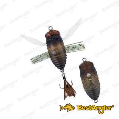 DUO Realis Koshinmushi Semigara CCC3203