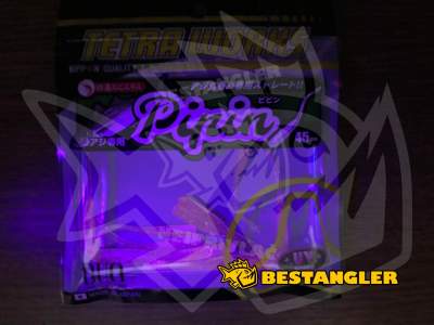 DUO Tetra Works Pipin Peach Color S507 - UV