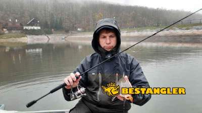 Geoff Anderson komplet Dozer 6 + Urus 6 zelená