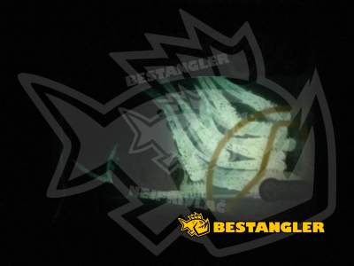 DUO Tetra Works Burny Pink flakes S502 - GLOW