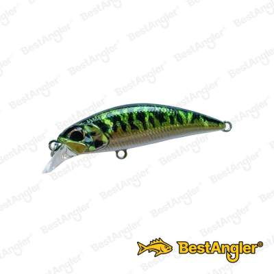 DUO Spearhead Ryuki 45S SW LIMITED Green Mackerel DPA0263