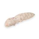 FishUp Pupa 1.2" #SLA03 White / Red