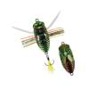 DUO Realis Shinmushi Kinkame CCC3218