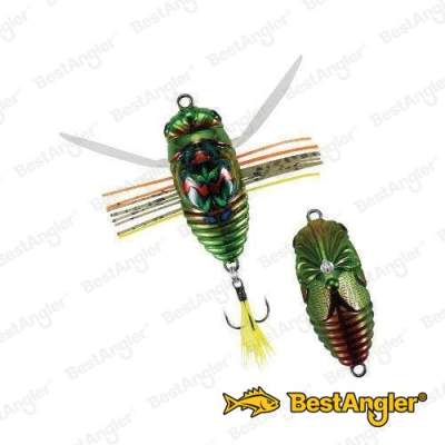 DUO Realis Shinmushi Kinkame CCC3218