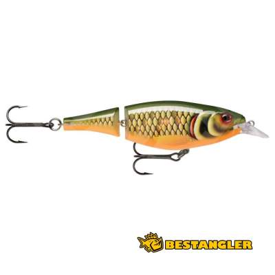 Rapala X-Rap Jointed Shad 13 Scaled Roach