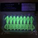 Keitech Crazy Flapper 2.8" Motoroil PP. Red - CT#17 - UV2