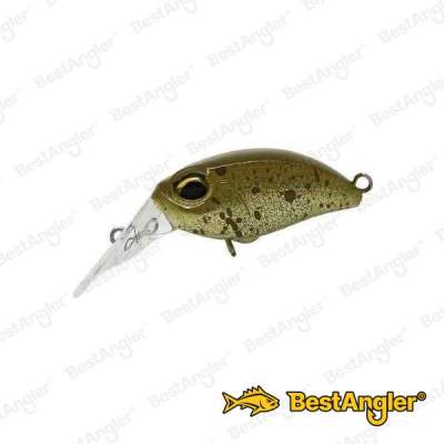 ValkeIN Kuga FMR Real Rush C174