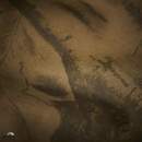 Geoff Anderson kalhoty Urus Rough maskáč