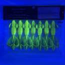 Keitech Crazy Flapper 3.6" Watermelon PP. / Yellow - #447 - UV