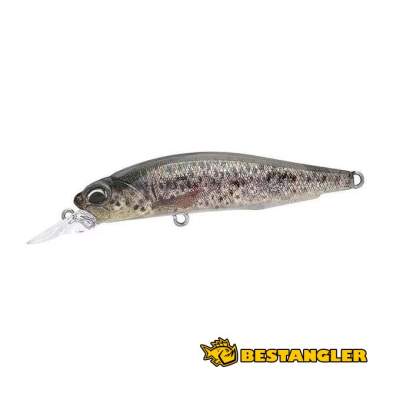 DUO Realis Rozante 77SP Brown Trout ND CCC3815