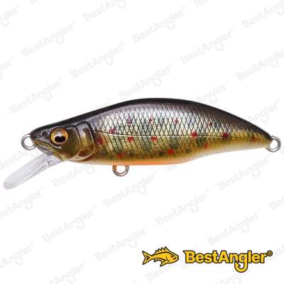 Megabass GH64 Humpback TAKUMI IWANA - 2