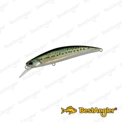 DUO Spearhead Ryuki 80S SW LIMITED Real Mackerel ANA0489