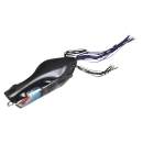 Jackall Gavacho Frog Maruhata Black Gill