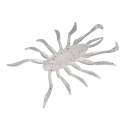 Jackall RV-Bug 1.5" Sight Pearl White