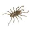 Jackall RV-Bug 1.5" Hiyake Suji Shrimp