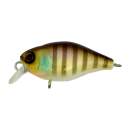 Jackall Chubby 38 F Noike Gill