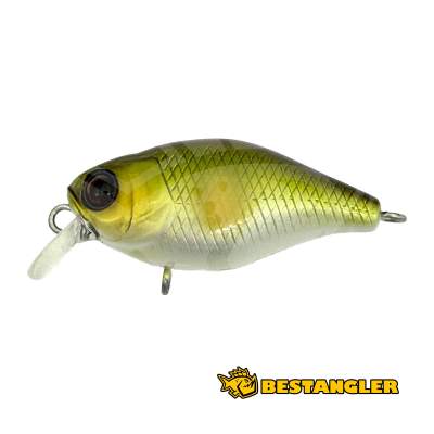 Jackall Chubby 38F AYU