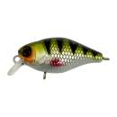 Jackall Chubby 38 F HL Perch