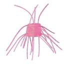 O.S.P Saikoro Rubber Non Salt 12 mm Sight Neon Pink SR07