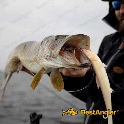 BKK Trigger 21 UVO Stinger Rig