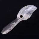 O.S.P Blitz EX-DR Sexy Shad L-21