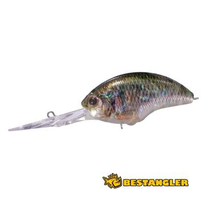 O.S.P Blitz EX-DR Real Bitterling RP0-02