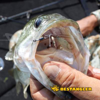 DECOY Worm 120 HD Hook Masubari #1/0 - 818350