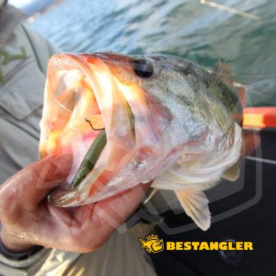 DECOY Worm 23 Body Hook #6 - 819692