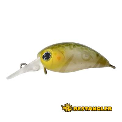 Jackall Timon Chibi Panicra DR Shizuoka Bizin