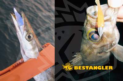 DECOY SV-51 Delta Magic #6