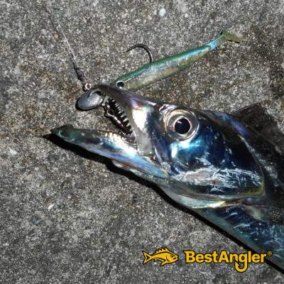 DECOY SV-34 Salt Groove S.G. Head #3/0