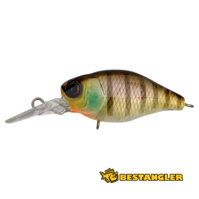 Jackall Chubby 38F MR Noike Gill