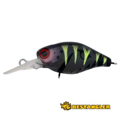 Jackall Chubby 38F MR UV Mat Black Perch